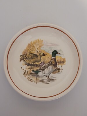 Schöner Royal Worcester Palissy England Deko Ente Teller Untertasse