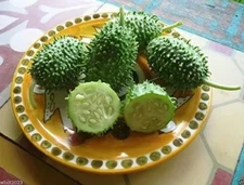 200+ West Indian Gherkin Seeds - Burr Spike Cucumber - Heirloom ----------- RARE