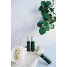 Kajoe Eucalyptus Roll On – 3 Pack | Pure & Natural from Buru Island