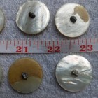 6 Vtg/Antq Mother of Pearl Buttons 1 1/8" Smoky Gray Ringed Dome Center Shank — photo 10