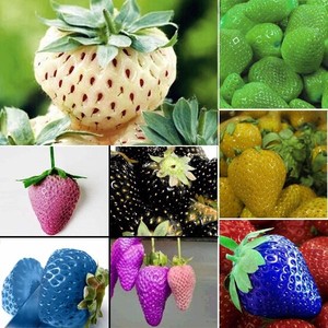 1-Pack-100pcs-Rare-Delicious-Strawberry-Seeds-Vegetables-Fruit-Plant-Seed