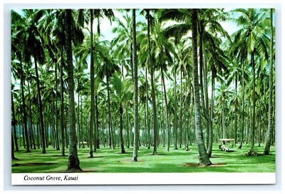 Postcard Coconut Grove at Coco Palms Resort Hotel Lihue Hawaii c1981 