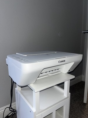 Canon PIXMA MG2522 All-In-One Printer - White