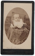 CDV  vor 1900 Kleinkind Photograph: artistisches Atelier Reinhold Ernst Görlitz