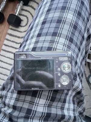 Super Steady Shot DSC-W80