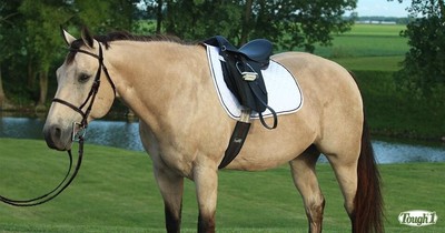All Purpose English Saddle Only or Package - Synthetic Blk or Brwn - Reg - Wide