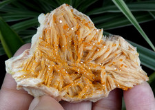 Cristaux Gemme Vanadinite Orange Mibladen 6x4.5cm Maroc minéral pierre reiki