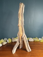 22  Manzanita Driftwood Branch, Aquarium Terrarium Aquascaping Decor, Home Decor