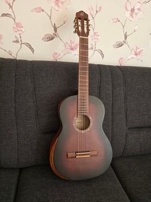 Gitarre 4/4  Ortega R55DLX-BFT Family Series Pro
