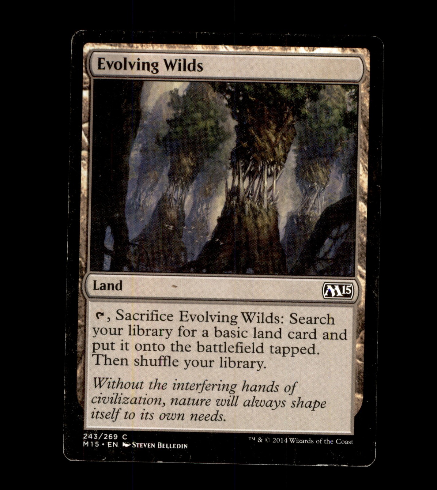 Magic 2015 (M15) #243 Evolving Wilds