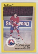 1989-90 Procards AHL Benoit Brunet #186 sq1