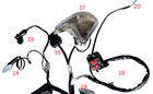 Bild 7 von 8
