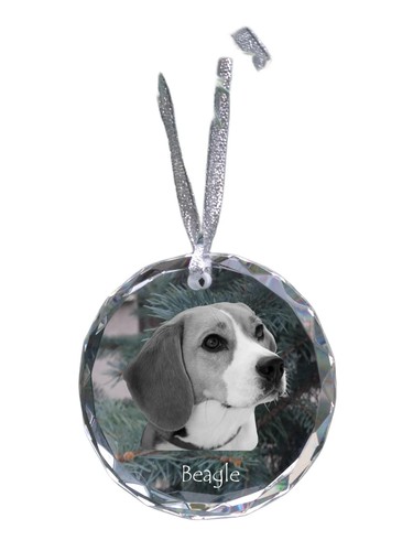 Beagle - Kristallkugel mit Foto, Hundefoto in Kristall, personalisiert Weihnachten - Bild 1 von 7