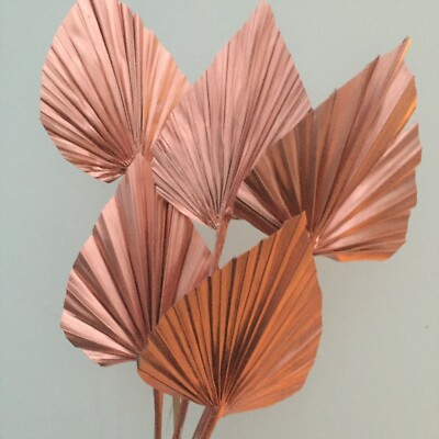 Bündel von 5 MINI Kupfer/Roségold getrockneten Palmspeeren, KUCHENAUFSÄTZEN.