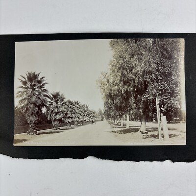 1907 Baldwins Ranch Los Angeles and Magnolia Ave at Riverside  F.H. Maude photo