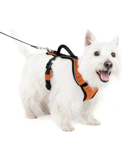 EasySport Dog Harness Neon Orange Padded Walking Body Harness Size Small.