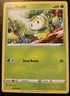 Petilil 009/203 Common Sword & Shield: Evolving Skies Pokemon TCG