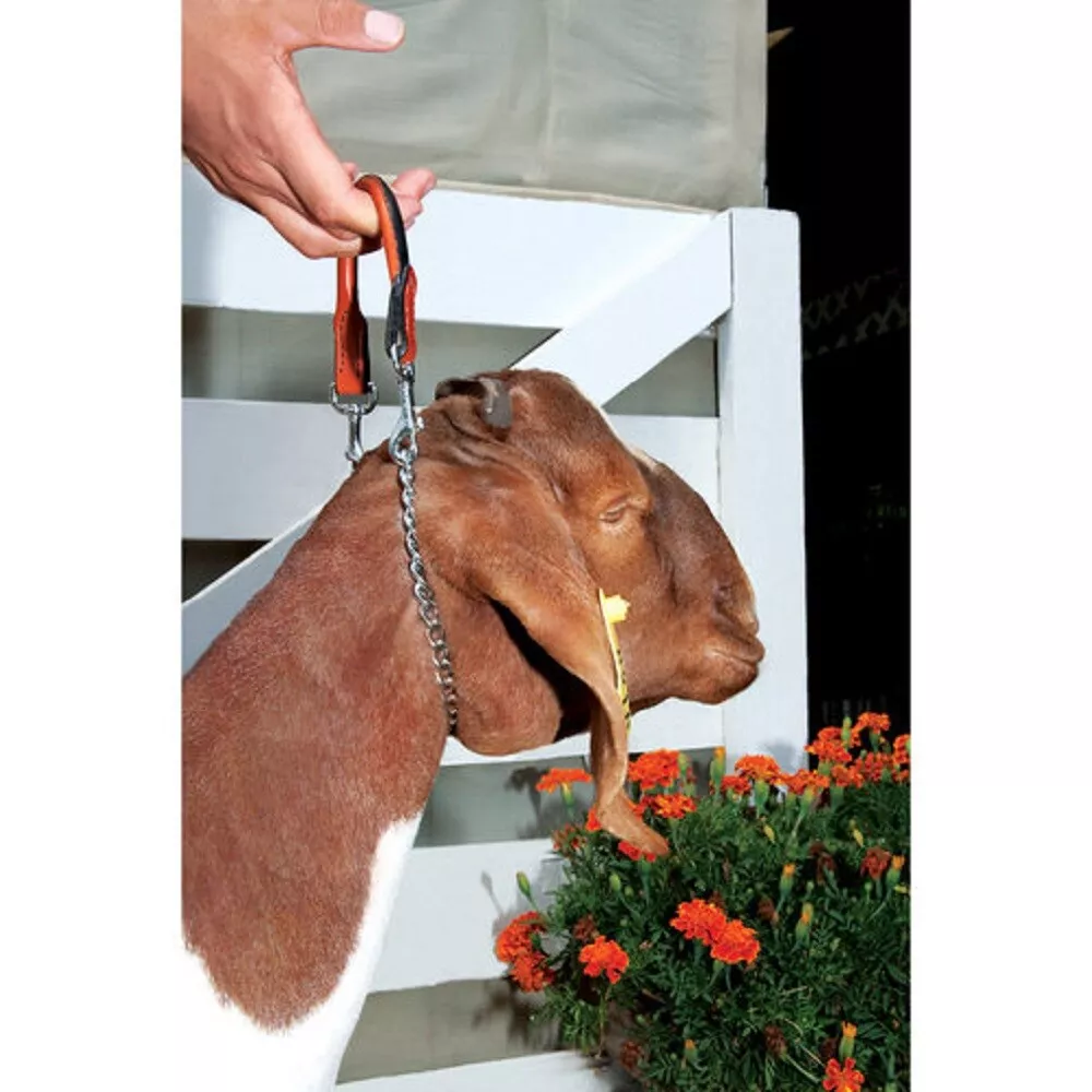 Weaver top goat collar