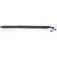 Gasfeder, Koffer-/Laderaum Triscan 8710 29307 FüR Skoda