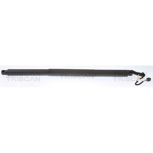 Gasfeder, Koffer-/Laderaum Triscan 8710 29307 FüR Skoda-image