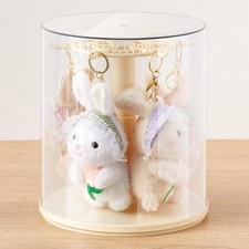 Rotating Doll Display Case, Clear Transparent 360  View Dustproof Showcase fo...