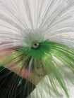 Bild 12 von 15