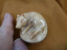 tb-pig-2 little tan pig laying down Tagua NUT palm figurine Bali Piglet hog pigs