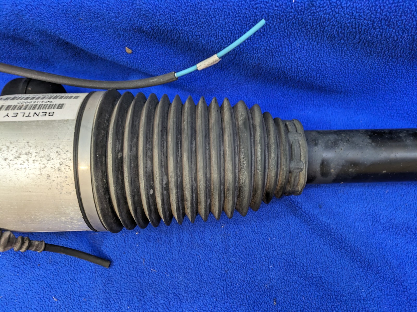 oem Rear Left Air Strut Bentley Continental 03-18 Flying Spur Volkswagen