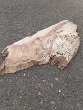 Splalted Maple Natural Edge Slab Round Splalted Maple Natural Edge Slab Round