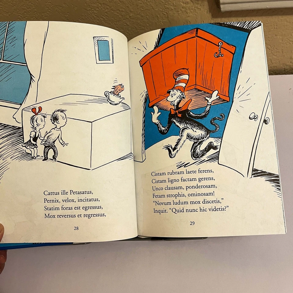 Cattus Petasatus Foto 3 de 4