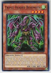 Triple-Headed Behemoth DOOD-EN029 Common 1st Edition Doom of Dimensions