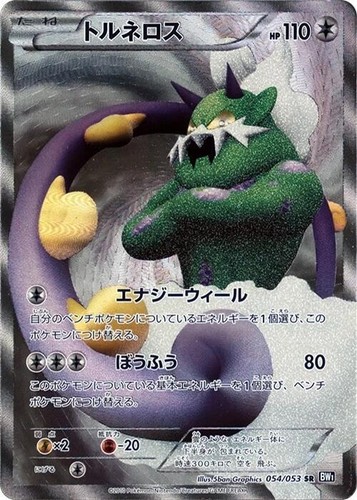 PSA 9 Tornadus 054/053 Black Collection Full Art Secret Japanese