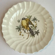 SPODE china AMERICAN BIRDS pattern DINNER plate #11 Maynard’s Cuckoo 10-1/2"