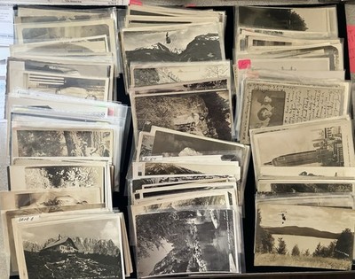 200 RPPC Real Photo Postcard  BULK LOT  People Locations Buildings Scenic Animal