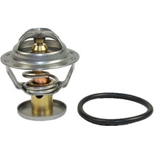 Thermostat Jaguar E