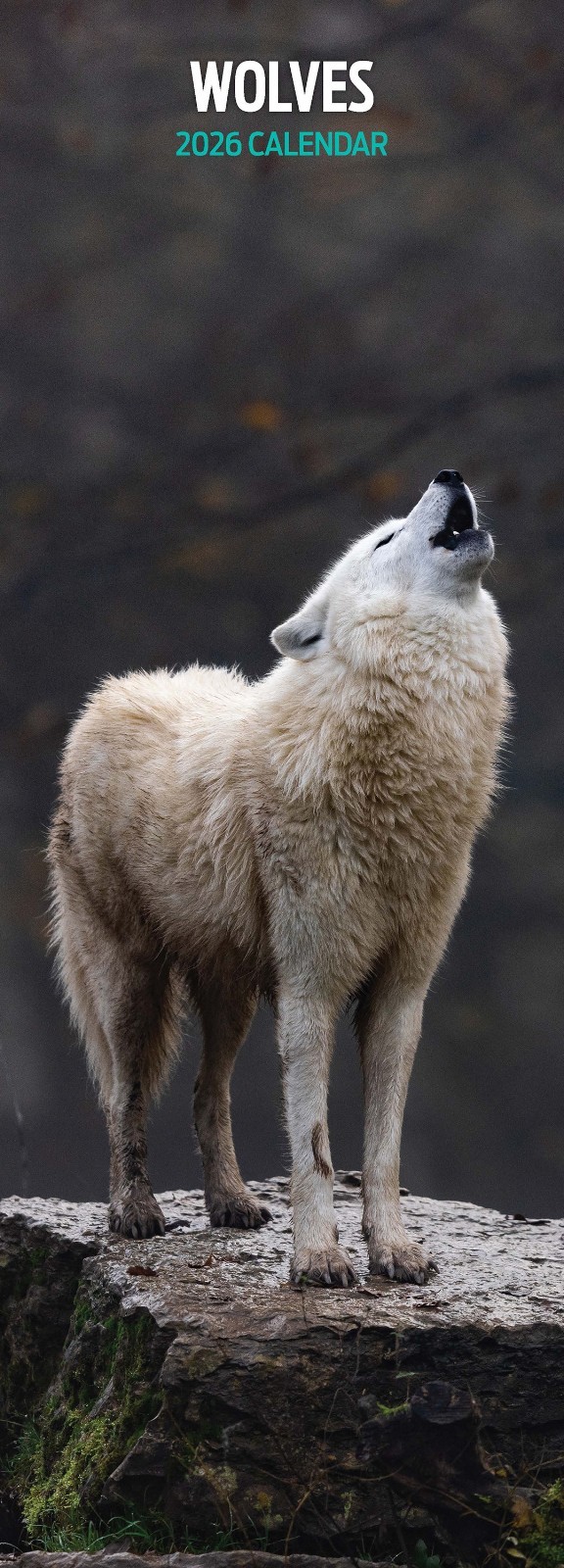 Wolves 2026 Slim Calendar