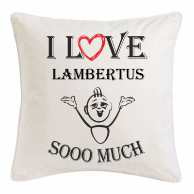 I Love Lambertus KISSENBEZUG 40X40cm Ich Liebe Lambertus Weiss 113697