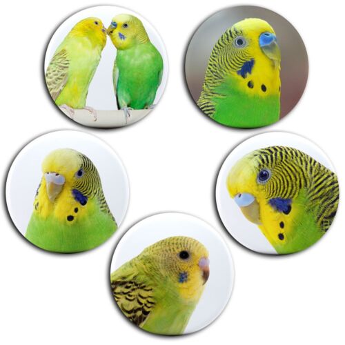 Papuga falista - 5 magnesów na lodówkę Ø 45 mm różne kolory wybór - Zdjęcie 1 z 6