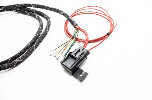 B Series K20 K24 / S2000 Coils Retrofit Harness w/ T1 Trigger Wiring - Picture 3 of 3