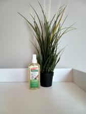 Coconut Oil Hair Scalp Oil