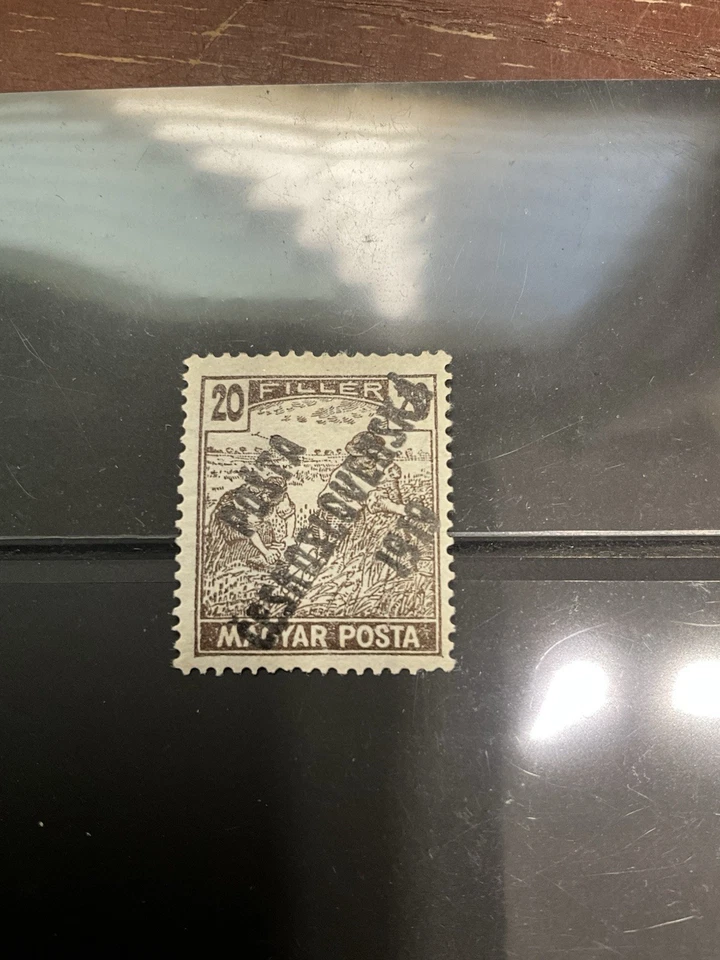 RARO SELLO VINTAGE POSTA CESKOSLOVENSKA 1919 20F SOBREIMPRESIÓN MARRÓN OSCURO Foto 3 de 4