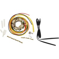 Suzuki RM 125 / RM 250 - 94/97 - Stator / 2112-0704