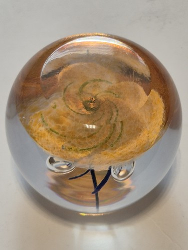 Caithness Evolution paperweight Limited Edition No. 69/750 great condition - Picture 10 of 12