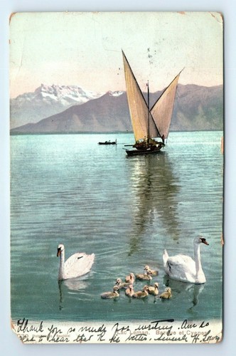 Photochromie Vintage Du Lac Léman Avec Barque - Format 17x22 Cm, Circa 1893, Couleurs, Référence ME1593