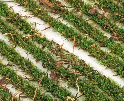 Static Grass Tuft Strips 4mm Selection WWScenics Model Railway Diorama Scenery - Picture 29 of 51