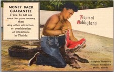MIAMI, Florida Postcard TROPICAL HOBBYLAND Al...