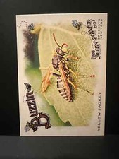 2024 Topps Allen & Ginter - Buzzin Yellow Jacket #BUZ-13