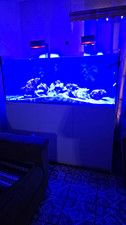 Pair Red Sea Marine Reef LED Clip-On Aquarium Light Mounting Arms