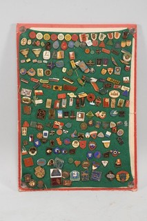O55R43 Sammlung Abzeichen Anstecknadeln Pins verschiedene Themen