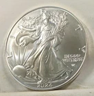 2024 American Silver Eagle ASE 1oz Silver Bullion in Capsule